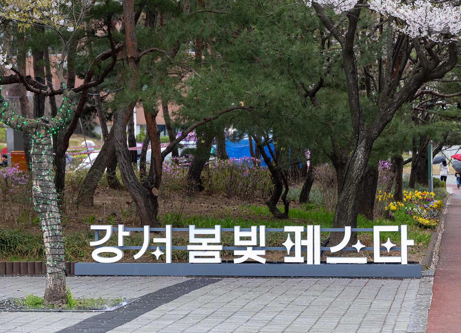 강서 봄빛페스타